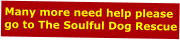 Many more need help please go to The Soulful Dog Rescue